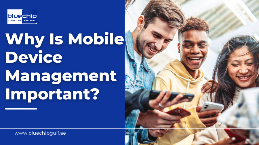 Why Is Mobile Device Management (MDM) Important? 